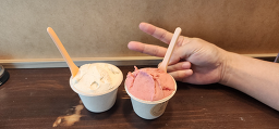 하음 사진 7