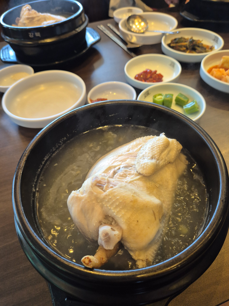 Goryeojosamgyetang 4