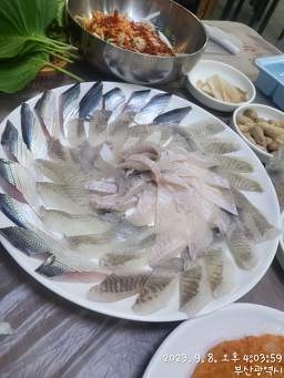 Pungseonghanhoenara (풍성한회나라) 1