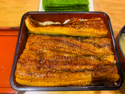 타마 대표 사진