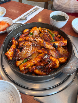 Joganegapojingeo (조가네갑오징어) 3