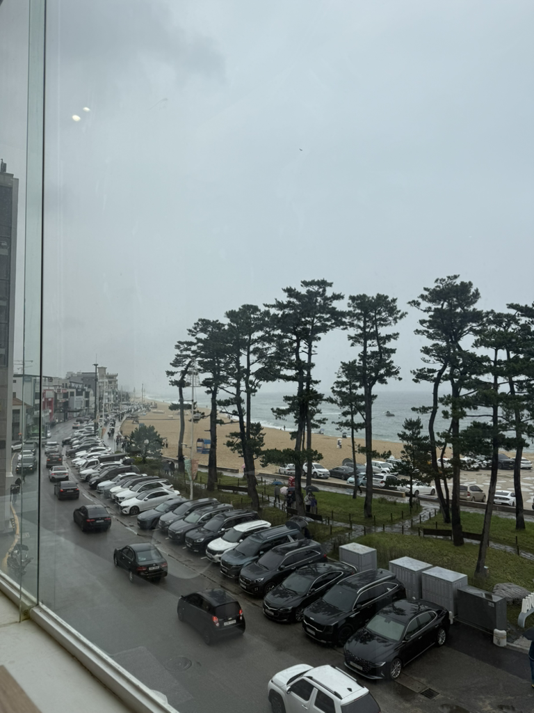 로지커피