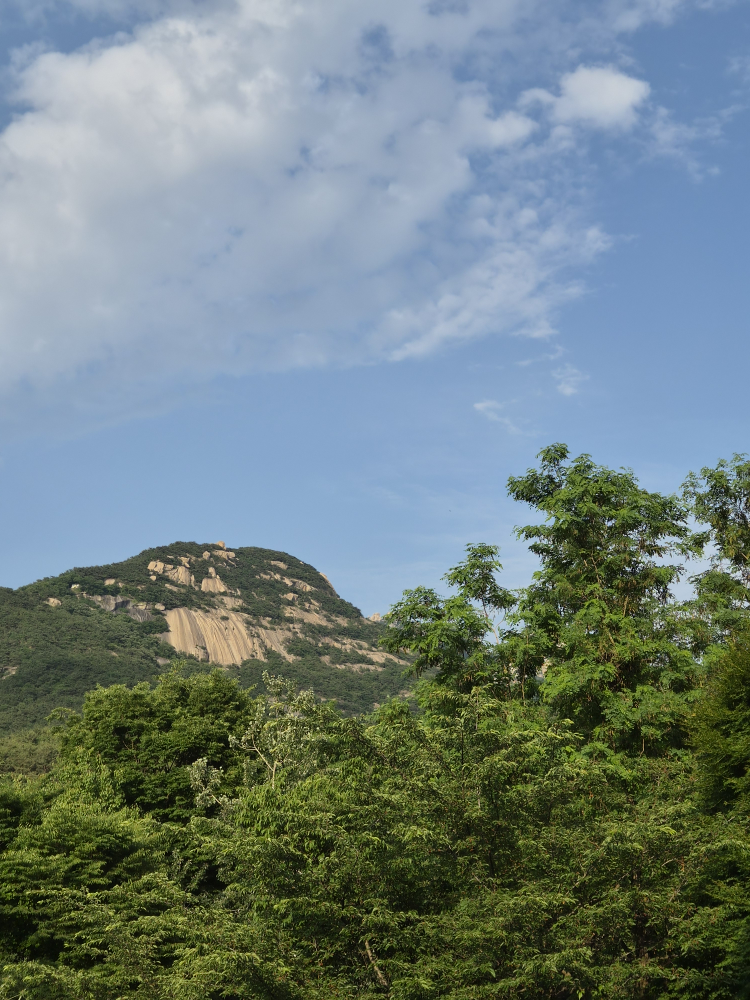 Jeonjusikdang (전주식당) 3