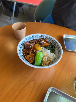 초이홍 5