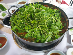 Seomjingang (섬진강) 1