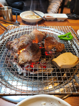 문정갈매기 사진 5