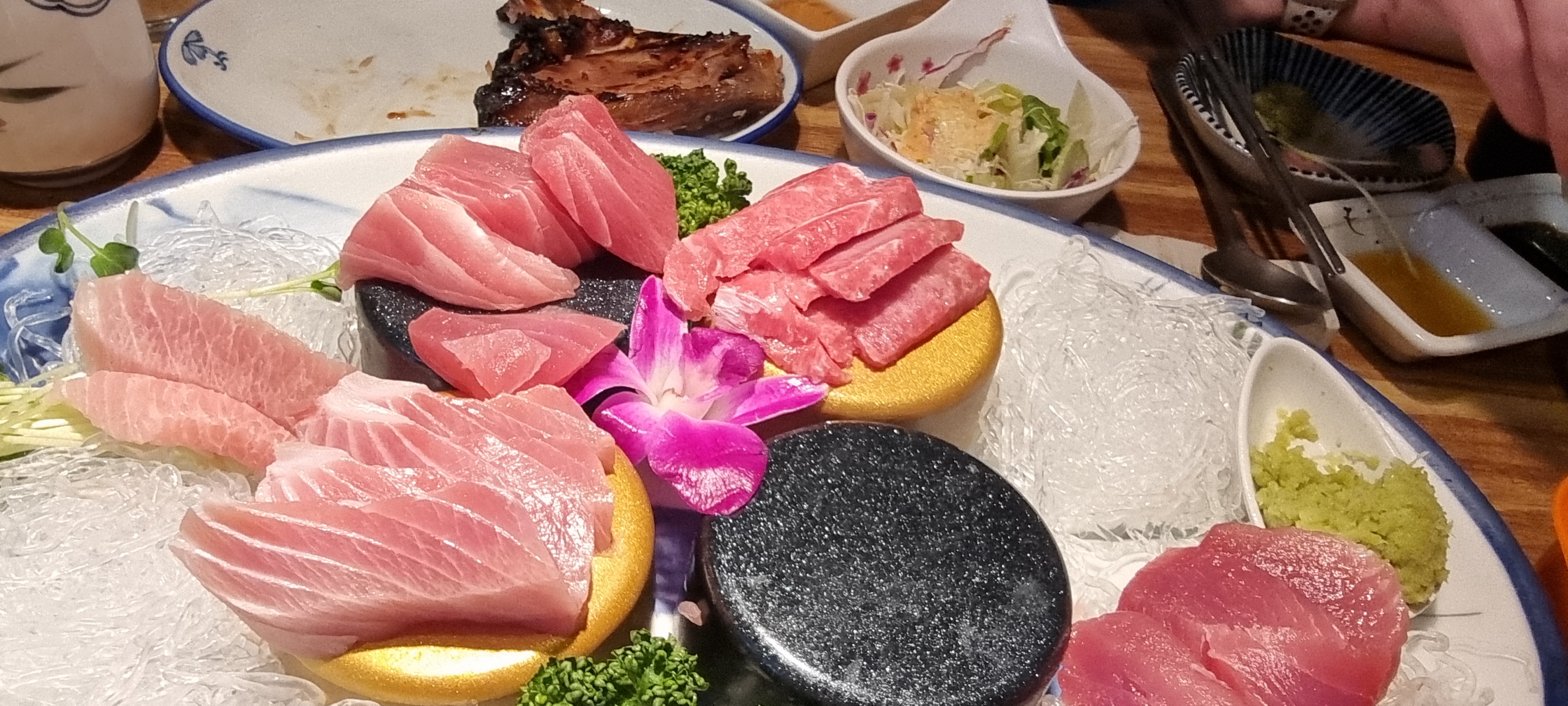 Sagaru 5