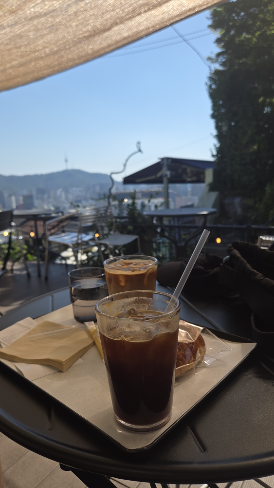 개뿔 5
