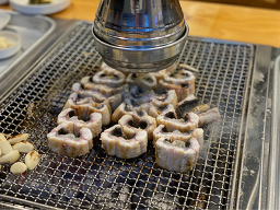 Jangeouikkum 6