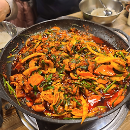 낙동생오리 3