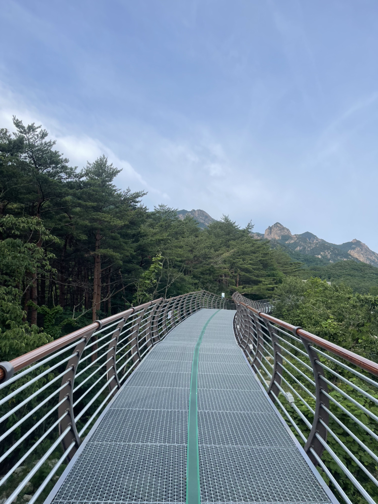 설악향기로 8
