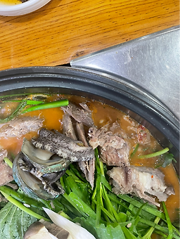 Cheongwonheukyeomso (청원흑염소) 2