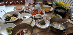 벽오동 6
