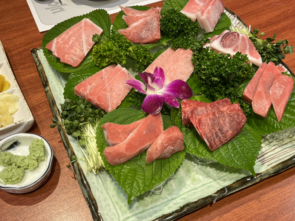 등대참치 1