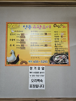 Indongyuhwangori (인동유황오리) 1