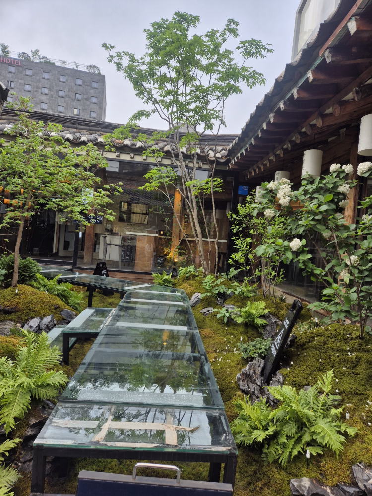 레인리포트 레인보우 사진 5