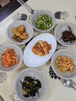 Songhaewaoribaeksuk (송해와오리백숙) 1