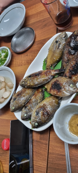 Saedungji (새둥지) 3