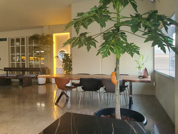 Raum (라움) 3