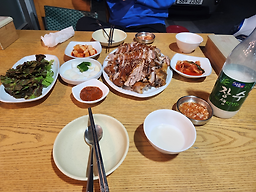 비둘기집 대표 사진