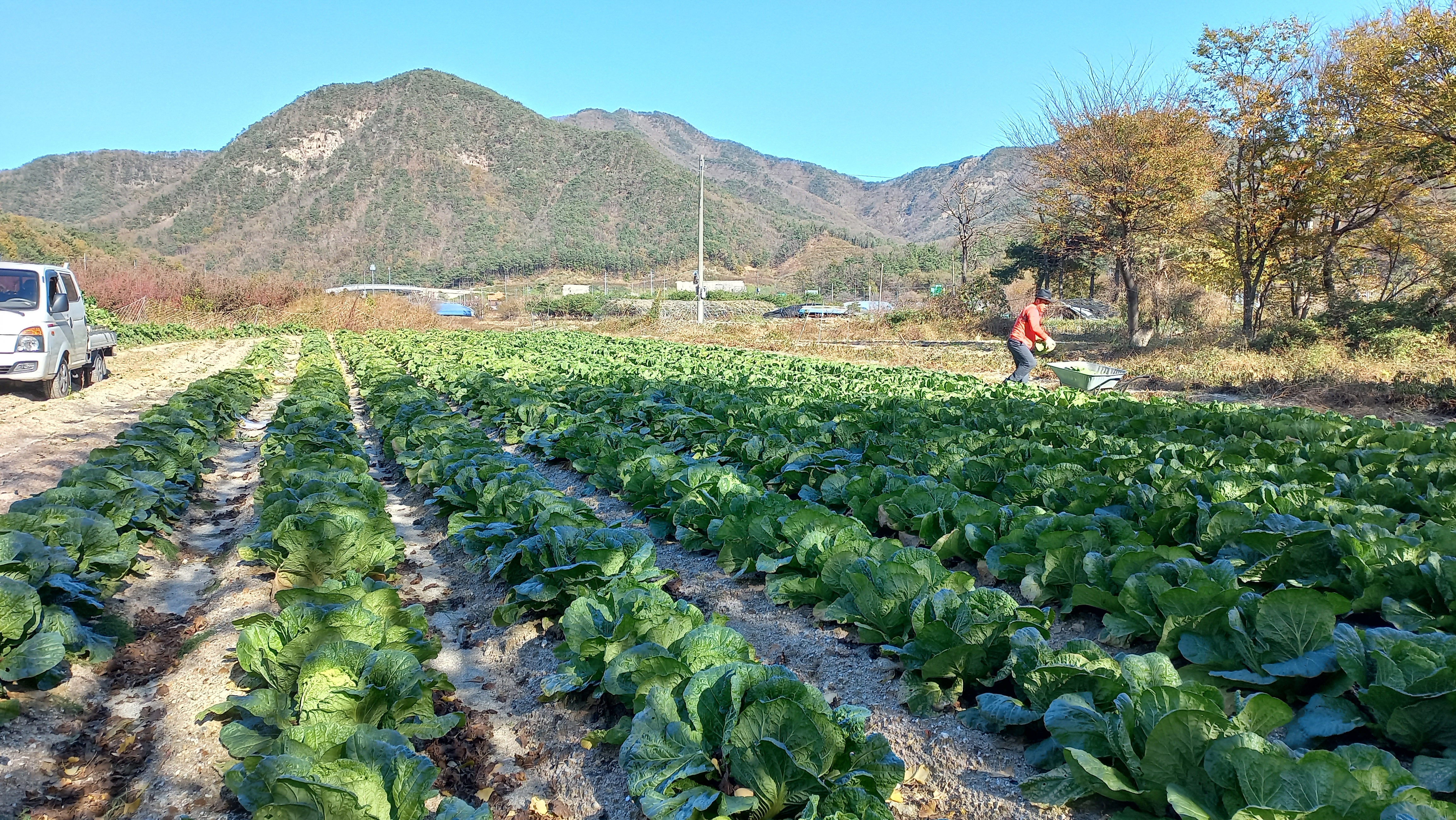 Usongsikdang 6
