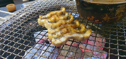 Hongjangeo (홍장어) 3