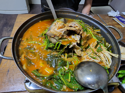달려라메기 1