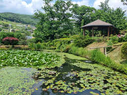 산수유산장 6