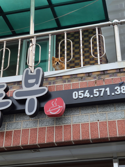 옥녀봉집두부 6