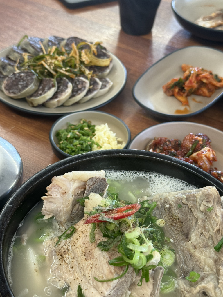 본날 사진 6