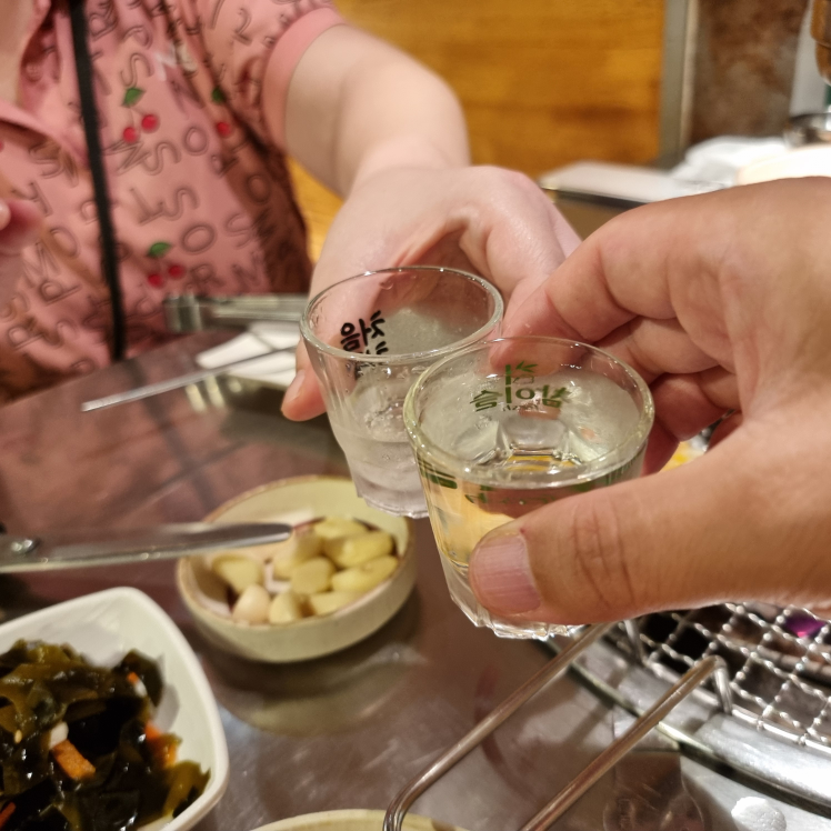 신부산갈매기 5