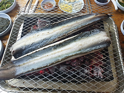 Geumganghominmuljangeo (금강호민물장어) 1