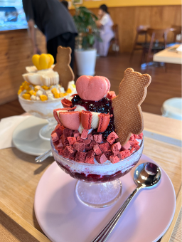 브니 6