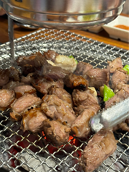 문정갈매기 사진 3