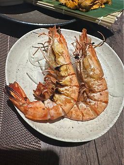 카메참치 사진 4