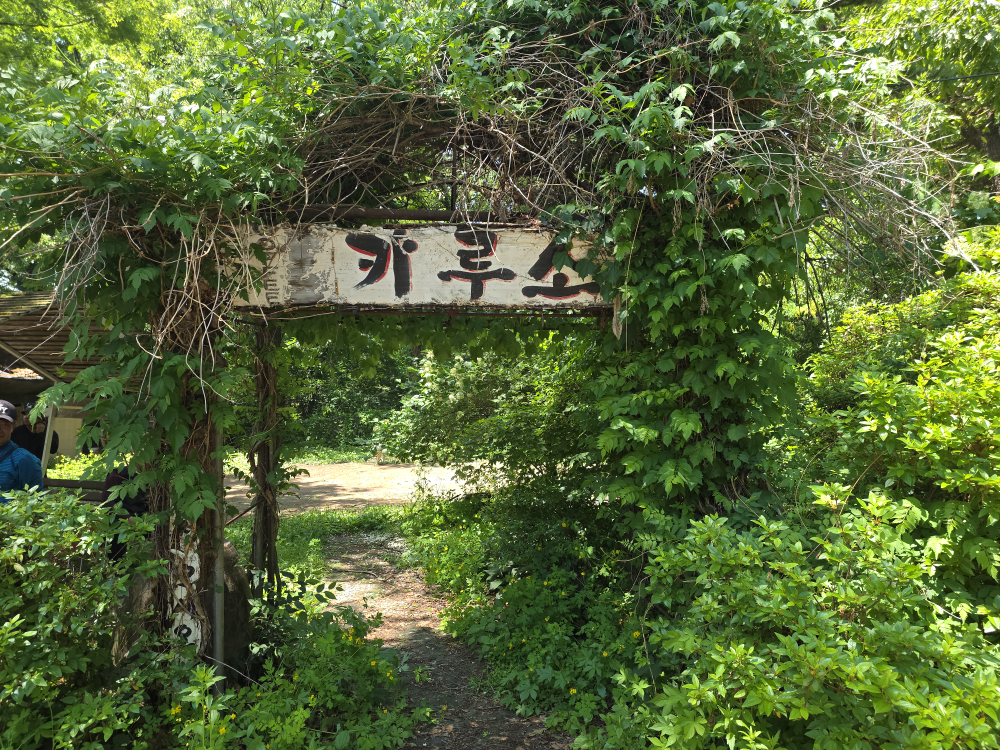 카루소 2