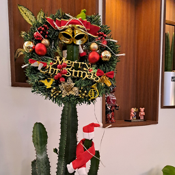 Goyombiseuteuro 5