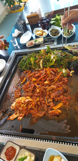Godaesantongnamujip (고대산통나무집) 2