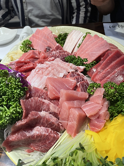 오광참치 1