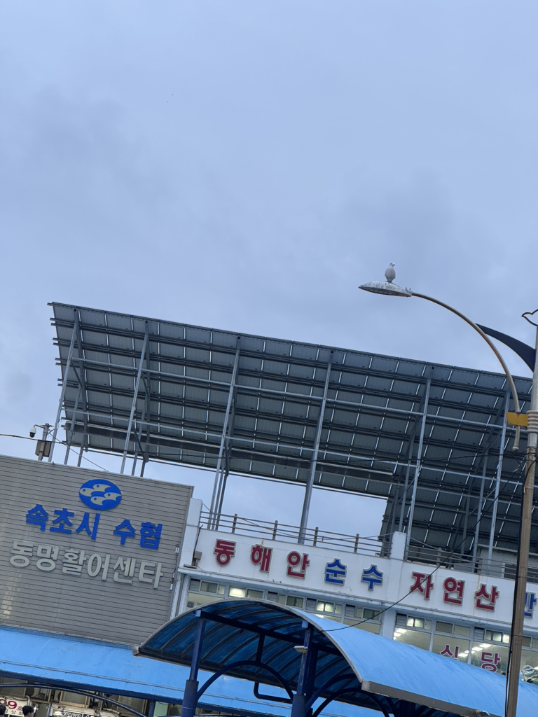 동명활어센타 3