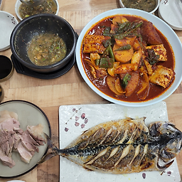 교래퐁낭 사진 8