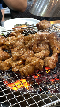 Sinmapogalbi 6