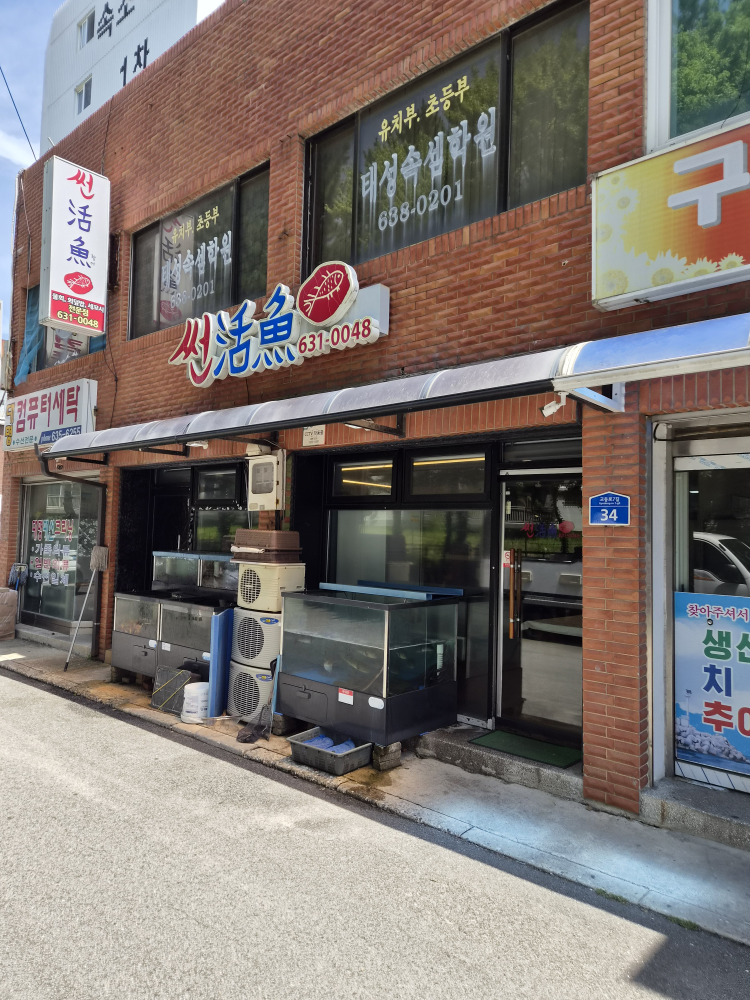 썬활어 2