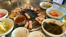 대평흑돼지 사진 8