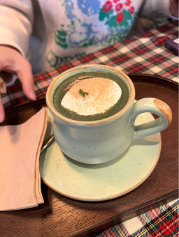 피노 사진 7