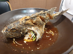 제주해풍 사진 7