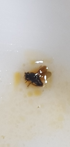 Wangsonjjajangilbeonji 3