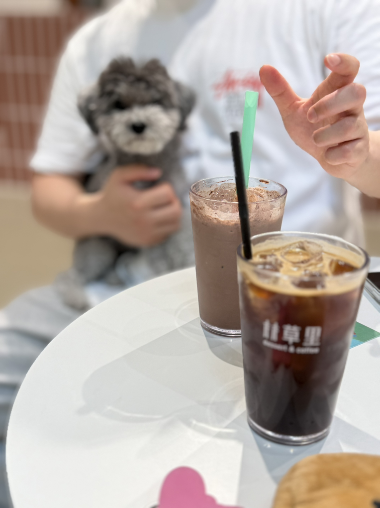 카페 임초리 6