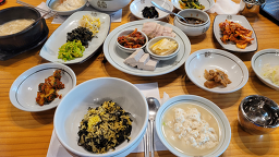 Dalmatiheukdubu 4