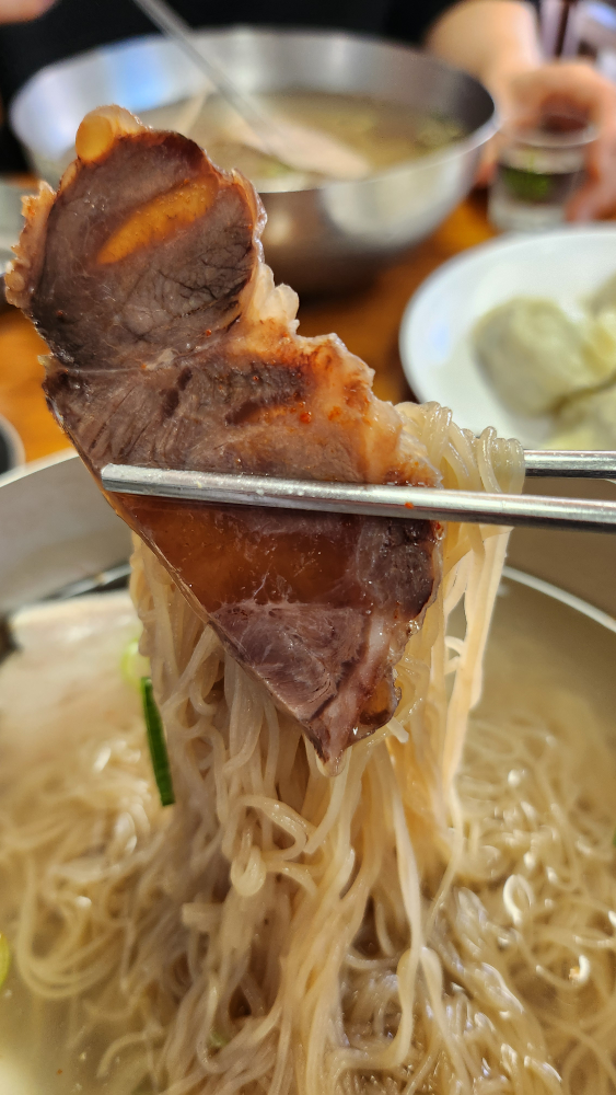 Pildongmyeonok 4